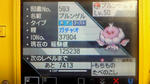 d64babc8.jpeg