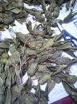 ee828998.jpg