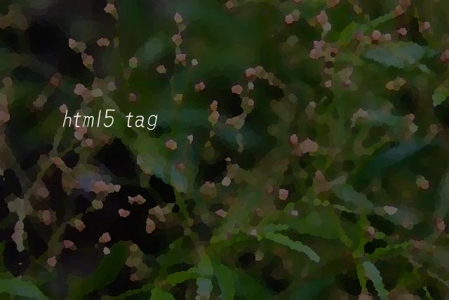 html5 tag