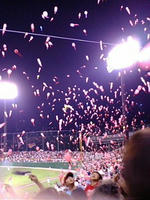 carp4.jpg