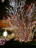 20071202172934.jpg