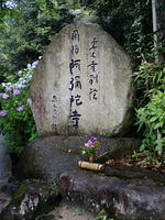 ajisai5.jpg