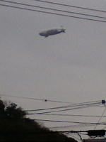 F1001005.jpg