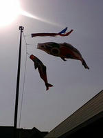 2010.5.4tomo3.jpg