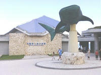 F1000026.JPG