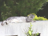 F1000061.JPG