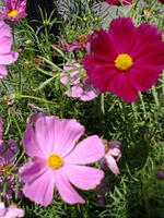 F1000119.jpg
