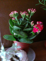 2010.11.13-1.jpg