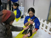 IMG_1151s-2.jpg