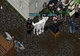 6f0328de.jpeg
