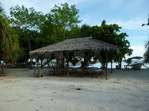 P1000266.jpg