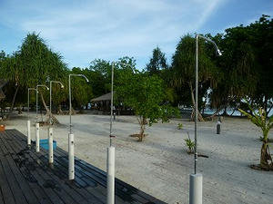 P1000261.jpg