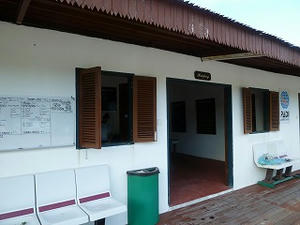 P1000260.jpg