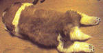 05160009-1.jpg