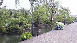 NEC_0028.JPG