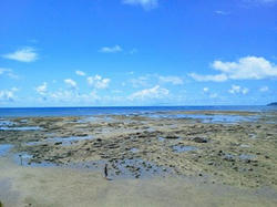 NEC_0145.JPG