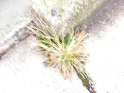 20121115_110644.jpg