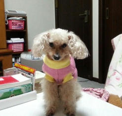 20130123_201349.jpg