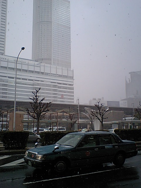 あ、雪!