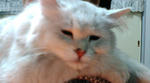 bb2776db.jpg