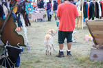 2009_10_11_3881.jpg