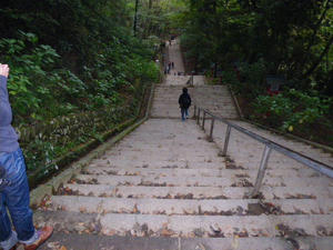 IMGP0055.JPG