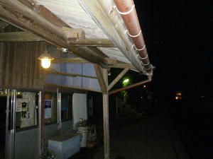 IMGP0650.JPG