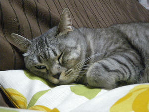 IMGP0761.JPG