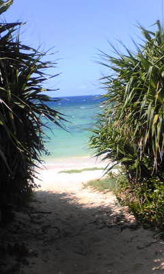 Image009.jpg