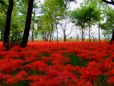 DSCF2380.JPG