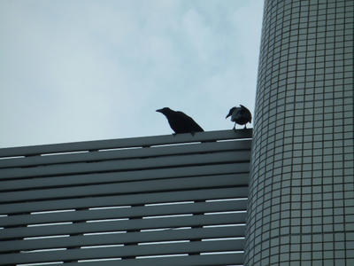 DSCF2387.JPG