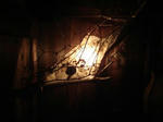 DSC03637.jpg