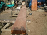 DSC03807.jpg