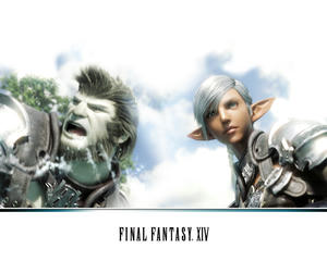 FFw01.jpg