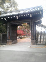 SH3F0064.jpg