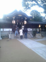 SH3F0067.jpg