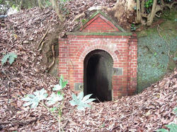CIMG0865.jpg