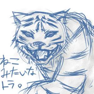 tora.jpg