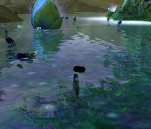 Aion0010.jpg