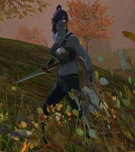 Aion0029.jpg