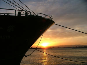 onahama-4.jpg