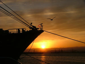 onahama-5.jpg