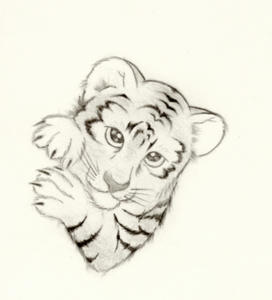 babytiger.jpg