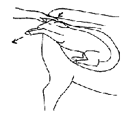 koumon.GIF