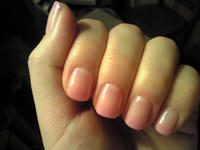 2008022022033j.jpg