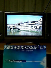 AQUOS