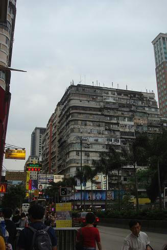 DSC00498.JPG