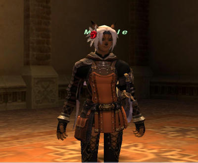 c0bfa837.jpeg