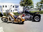 cc544d46.jpg