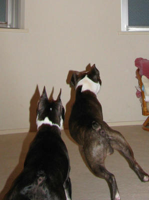 IMG_0061_edited.JPG
